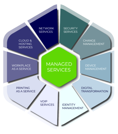 Managed Services Reel der RIZ AG. Abbildung sämtlicher Teildienstleistungen im Bereich IT-Services